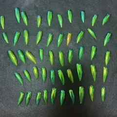 Item thumbnail for item 80f686ea-fa1f-4c59-9159-637dd1f79230