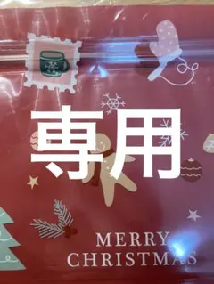 なちたん様専用Xmas