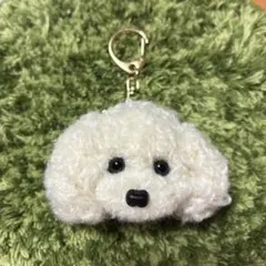 ＊うるうるトイプードル　毛糸キーホルダー＊ぬいぐるみマスコット　ホワイトカール白