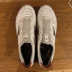 MIZUNO モレリアネオ4β