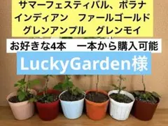 2026年最新】グレンアンプルの人気アイテム - メルカリ