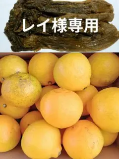 【レイ様専用】はるか☆春香☆４キロ☆長崎県産☆高菜一つ