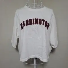 アメリカンホリック　サイズL Tシャツ