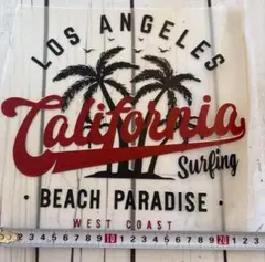 Item thumbnail for item 740aea45-44db-436c-9559-101c49951475