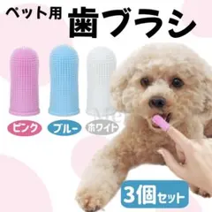 ペット用 360度シリコン歯ブラシ 3本セット（白・ピンク・ブルー）