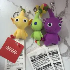 ‼️わわわ様専用‼️
