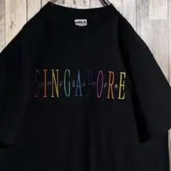 【USA製】HRLA 刺繍 シンガポール Tシャツ シングルステッチ 90s
