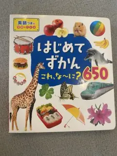 ユ*ん様 はじめてずかん 650 絵本 図鑑 動物 ひらがな 英語 知育