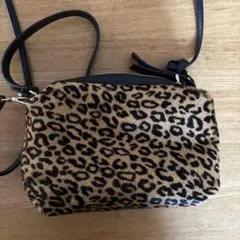 i【美品】GIANNI CHIARINI ヒョウ柄2wayショルダーバッグ - メルカリ