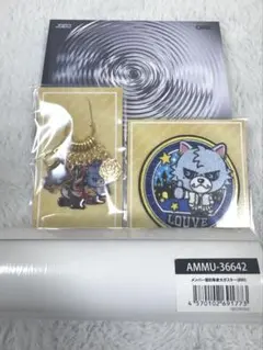 IO Just Show 武道館 ポスター B2 kandytown - メルカリ