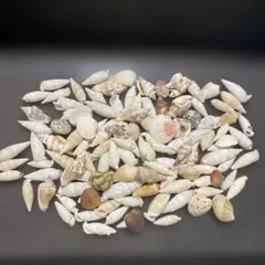 Item thumbnail for item b9fb4c38-ef46-4e25-b3d2-5aada40d7886