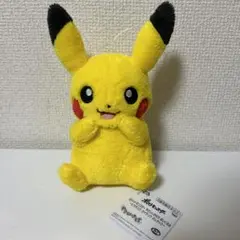 ポケットモンスター やさしいきもち ぬいぐるみ ピカチュウ