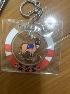 JRA ウェルカムチャンスE賞　アクリルキーホルダー　ウインカーネリアンのサムネイル