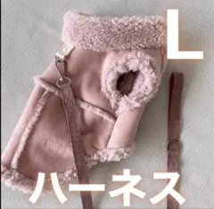 Item thumbnail for item bf990787-a80f-4fa4-a4e4-a1ec05d2480a