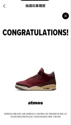 希少 限定2300足 Nike Air Jordan 3