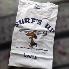 Item thumbnail for item 468b96ff-783c-4f89-88da-0a9fb9fe02e0