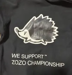 2026年最新】zozoチャンピオンシップ パーカーの人気アイテム - メルカリ
