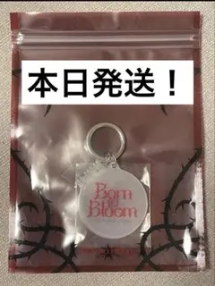HANA Born to Bloom 1st Tour 2026 キーホルダー - メルカリ