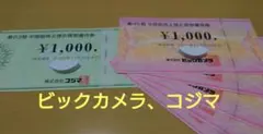 ビックカメラ コジマ 株主優待券 合計6000円分