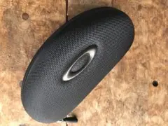 Item thumbnail for item 1f6e2ccf-723f-4d40-93ae-8dafc0ff1134