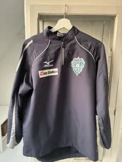 Item thumbnail for item 829bf11a-ee13-49c4-b5c3-9d1bae7ea8f9