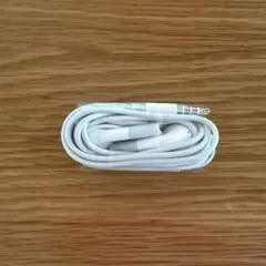 新品未使用 Apple 旧型 純正イヤホン