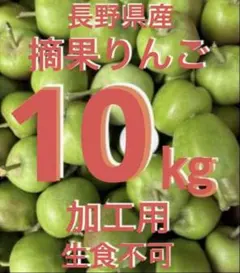 摘果りんご　加工用　生食不可　 約１０ｋｇ超え　採れたて直送便　長野県産のサムネイル