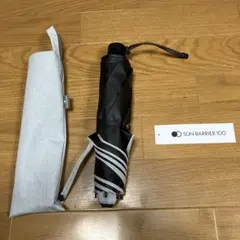 Item thumbnail for item 1b5ef3ec-48c0-45ae-a6c4-5ebc90559bd6