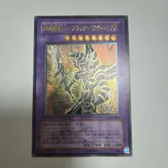 2026年最新】ブラックパラディンの人気アイテム - メルカリ