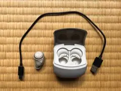 Item thumbnail for item 32697821-163a-49d2-8e37-167166d4efd5