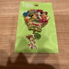 ミッキー＆ミニー＆チップ＆デール　ピンバッジ　ディズニー　スプリングカーニバル