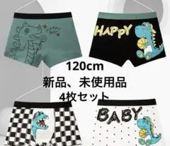 恐竜柄ボクサーパンツ 3-6歳　120cm4枚セット
