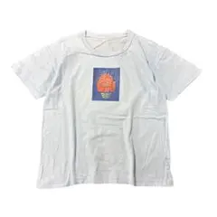 フロントプリントTシャツ　短丈　古着　ライトブルー　Y2K 8S2