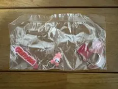 TWICE LOVELYS アクリルカラビナフロッキーマスコット