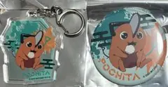 ポチタ アクキー 缶バッジ チェンソーマン OMATSURI POP UP