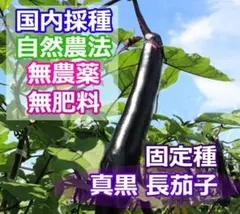 いの様 リクエスト 2点 まとめ商品