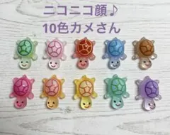 【数量限定】幸運のカメさん 10色20個セット