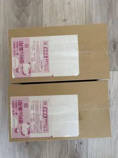 ポケモン　スペシャルBOX ヒロシマ　2BOX