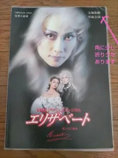 宝塚歌劇 雪組公演 エリザベート DVD - メルカリ