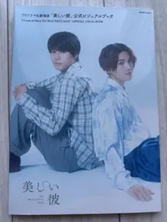 TVドラマ&劇場版「美しい彼」公式ビジュアルブック