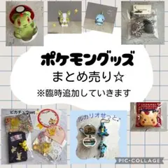 ポケモングッズまとめ売り　ポケモンセンター　モンスターボール