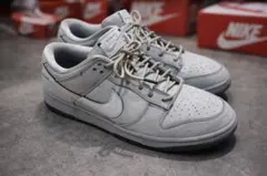 Nike Dunk Low Wolf Grey and PurePlatinum