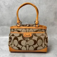 Y2K COACH Park Signature C Carryall Bag