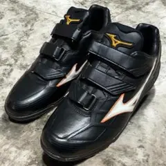 2026年最新】ミズノ トレーニングシューズ ミズノプロの人気アイテム 