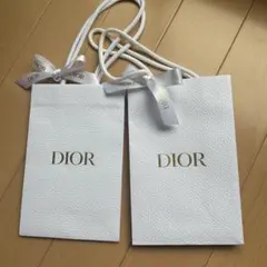 DIOR 紙袋 2枚セット