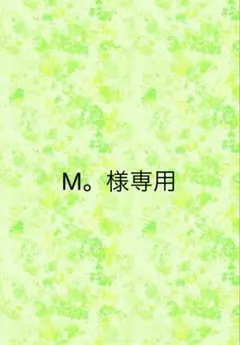M。様　専用