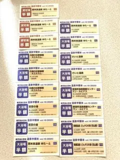 宮崎県央・県北エリア　温泉　半額本　チケットのみ　鹿児島　宮崎