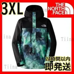 3XL 新品 アメリカ ノースフェイス マウンテン ジャケット 総柄 us