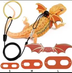 2025年最新】カメレオンリーダーの人気アイテム - メルカリ