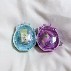 やんぐまめっち ふらわっち ホビータイム